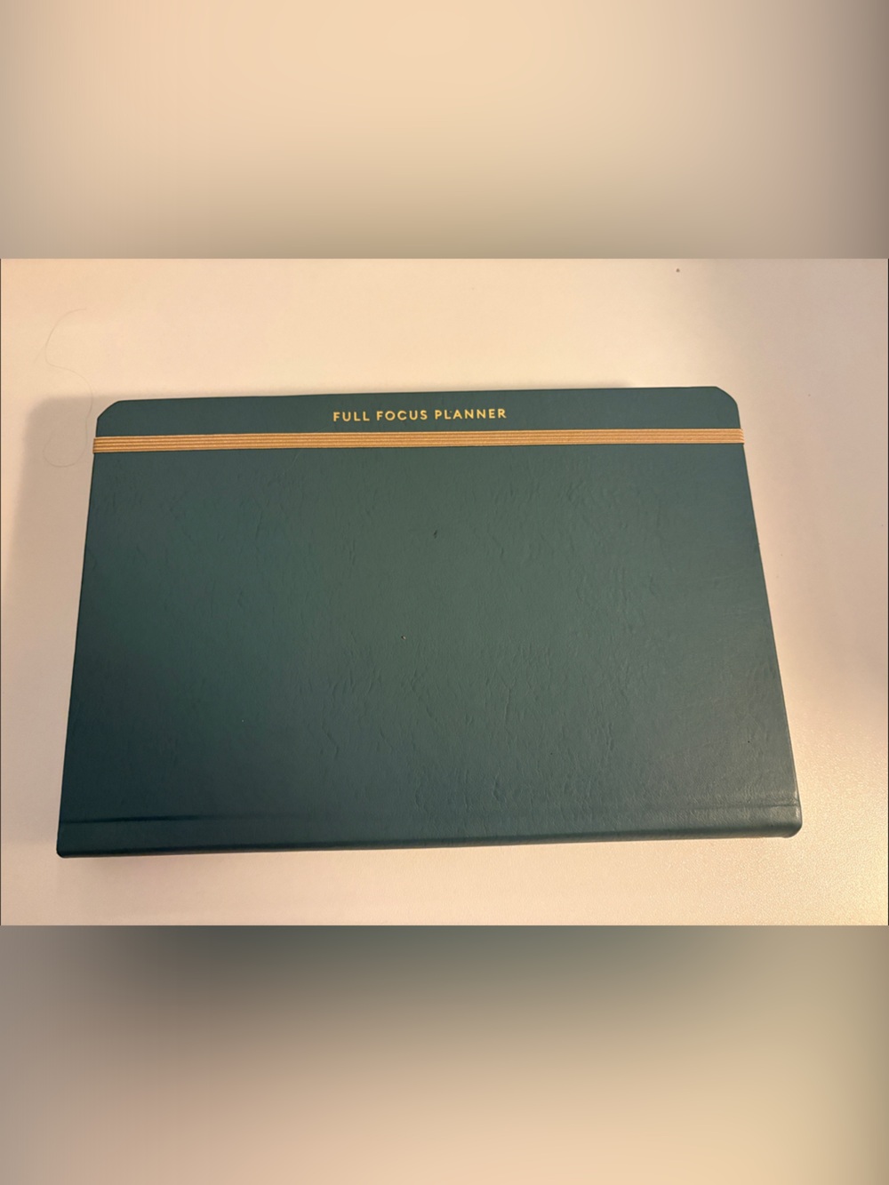 Dusty Blue Full Focus Planner
